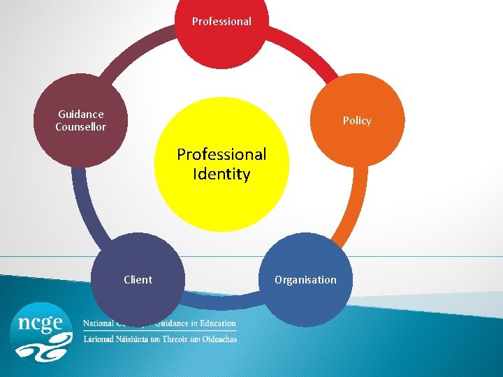 Professional Guidance Counsellor Policy Professional Identity Client Organisation 