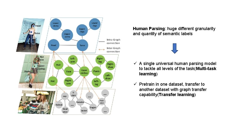 Human Parsing: huge different granularity and quantity of semantic labels ü A single universal