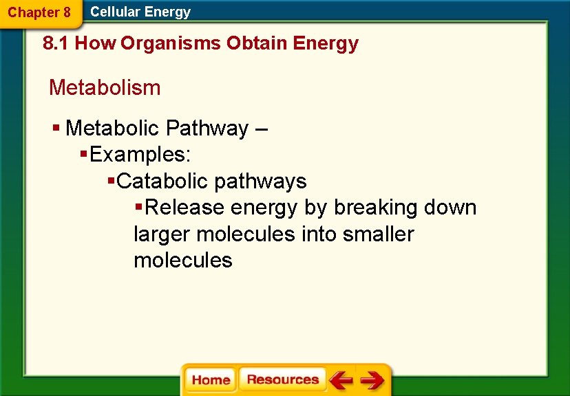 Chapter 8 Cellular Energy 8. 1 How Organisms Obtain Energy Metabolism § Metabolic Pathway