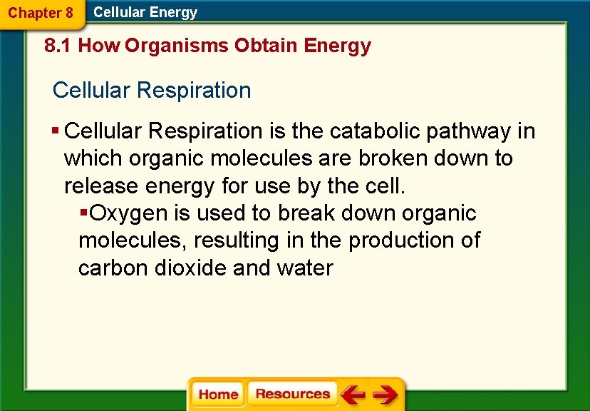 Chapter 8 Cellular Energy 8. 1 How Organisms Obtain Energy Cellular Respiration § Cellular