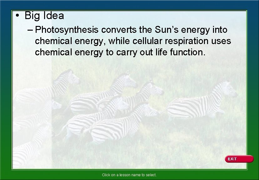  • Big Idea – Photosynthesis converts the Sun’s energy into chemical energy, while