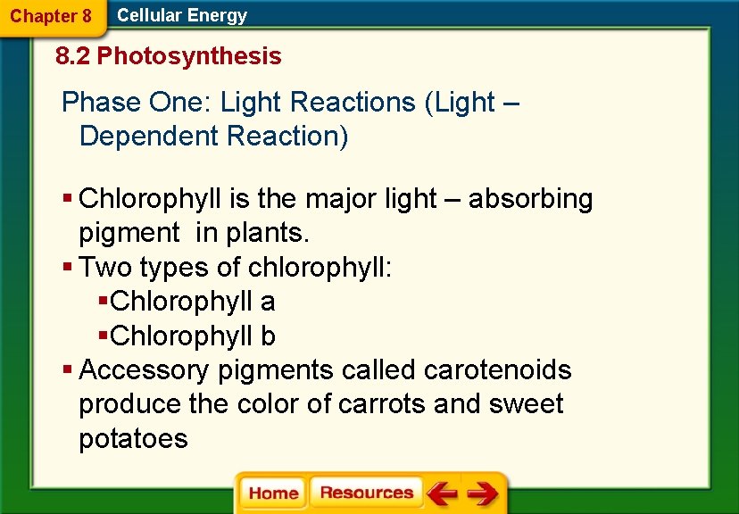 Chapter 8 Cellular Energy 8. 2 Photosynthesis Phase One: Light Reactions (Light – Dependent
