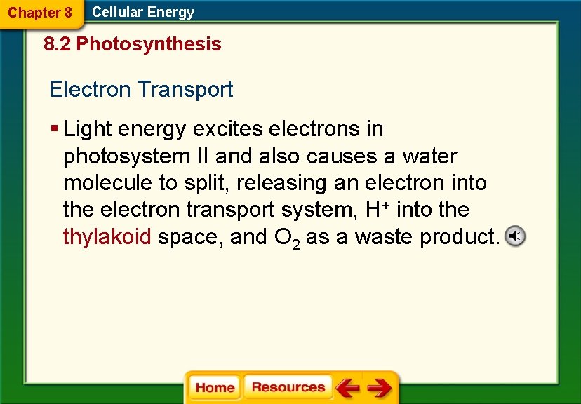 Chapter 8 Cellular Energy 8. 2 Photosynthesis Electron Transport § Light energy excites electrons