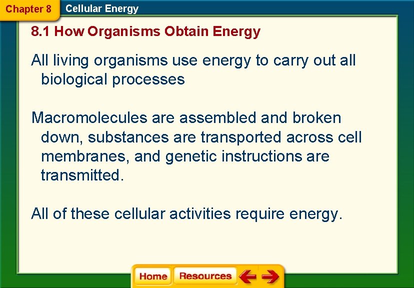 Chapter 8 Cellular Energy 8. 1 How Organisms Obtain Energy All living organisms use