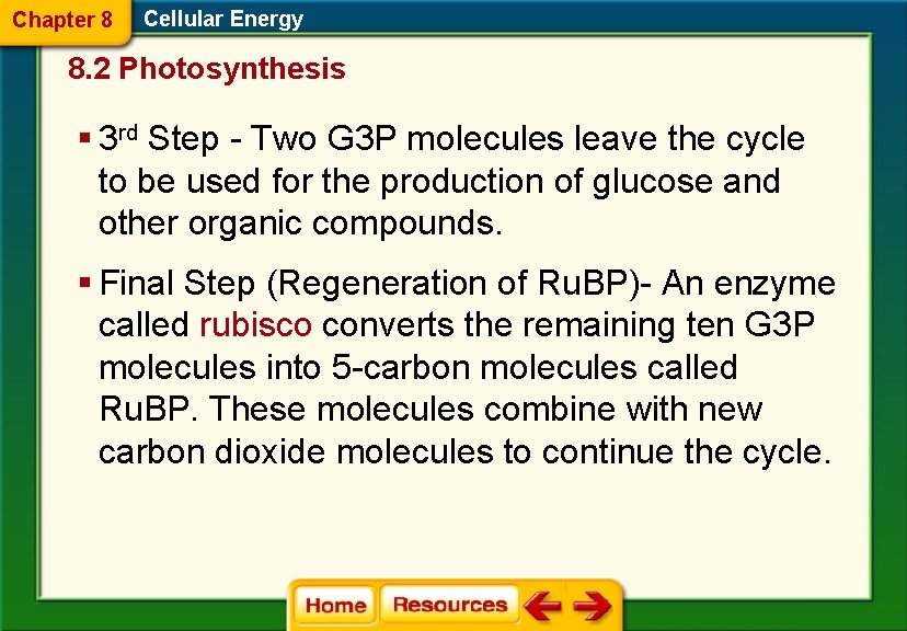 Chapter 8 Cellular Energy 8. 2 Photosynthesis § 3 rd Step - Two G