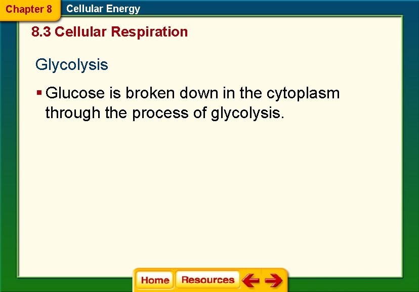 Chapter 8 Cellular Energy 8. 3 Cellular Respiration Glycolysis § Glucose is broken down