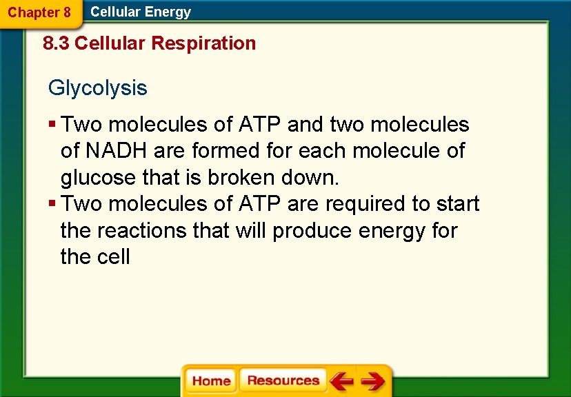 Chapter 8 Cellular Energy 8. 3 Cellular Respiration Glycolysis § Two molecules of ATP
