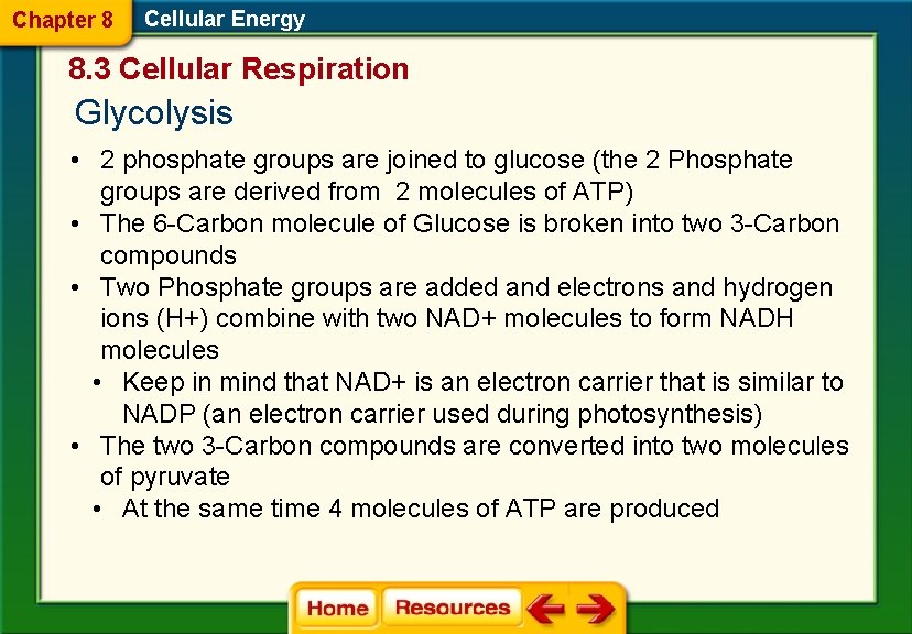 Chapter 8 Cellular Energy 8. 3 Cellular Respiration Glycolysis • 2 phosphate groups are