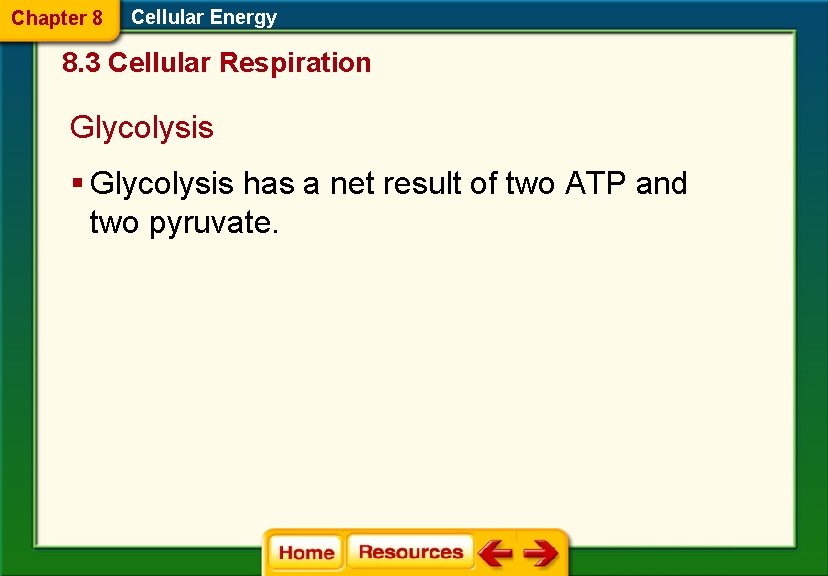 Chapter 8 Cellular Energy 8. 3 Cellular Respiration Glycolysis § Glycolysis has a net