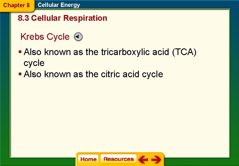 Chapter 8 Cellular Energy 8. 3 Cellular Respiration Krebs Cycle § Also known as