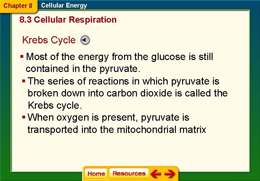 Chapter 8 Cellular Energy 8. 3 Cellular Respiration Krebs Cycle § Most of the