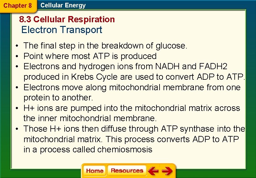 Chapter 8 Cellular Energy 8. 3 Cellular Respiration Electron Transport • The final step