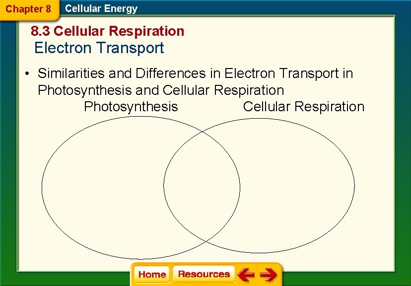Chapter 8 Cellular Energy 8. 3 Cellular Respiration Electron Transport • Similarities and Differences