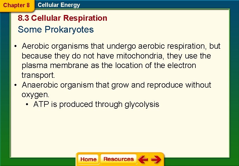 Chapter 8 Cellular Energy 8. 3 Cellular Respiration Some Prokaryotes • Aerobic organisms that