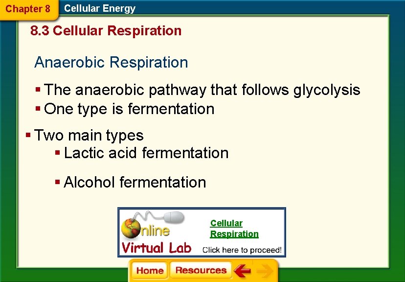 Chapter 8 Cellular Energy 8. 3 Cellular Respiration Anaerobic Respiration § The anaerobic pathway