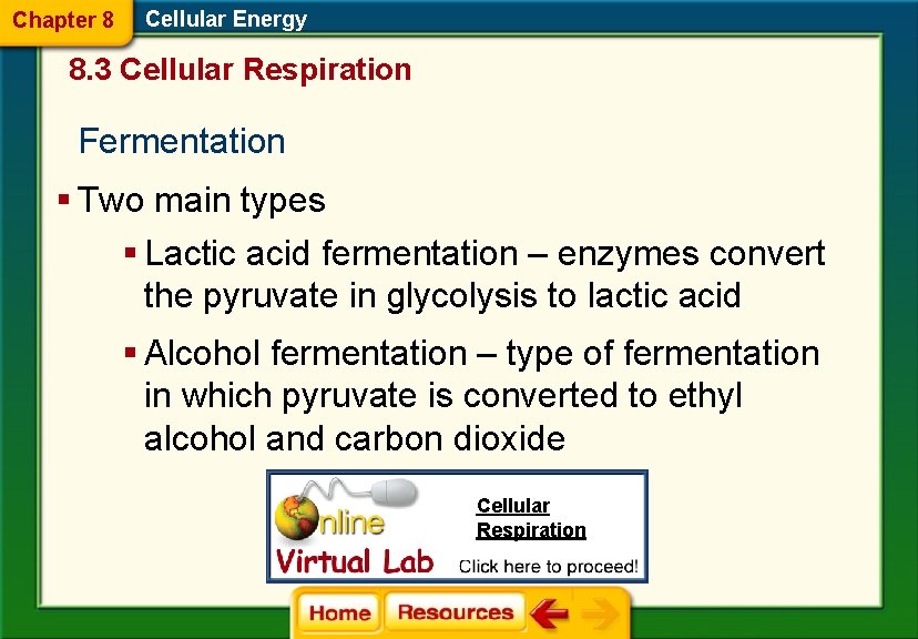Chapter 8 Cellular Energy 8. 3 Cellular Respiration Fermentation § Two main types §