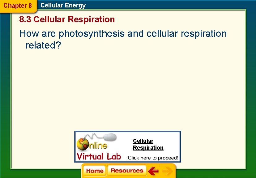 Chapter 8 Cellular Energy 8. 3 Cellular Respiration How are photosynthesis and cellular respiration