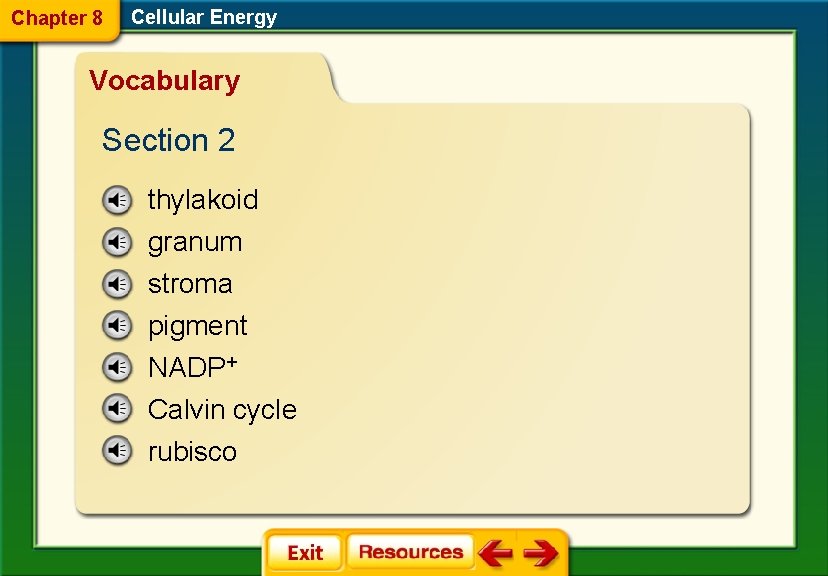 Chapter 8 Cellular Energy Vocabulary Section 2 thylakoid granum stroma pigment NADP+ Calvin cycle