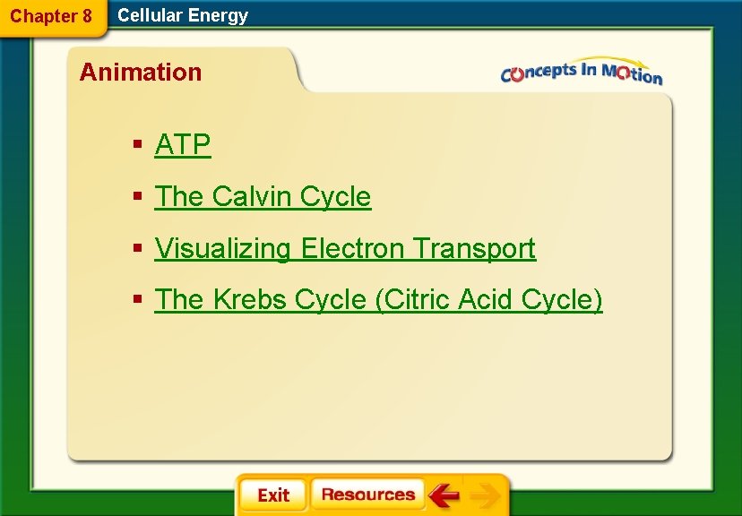 Chapter 8 Cellular Energy Animation § ATP § The Calvin Cycle § Visualizing Electron