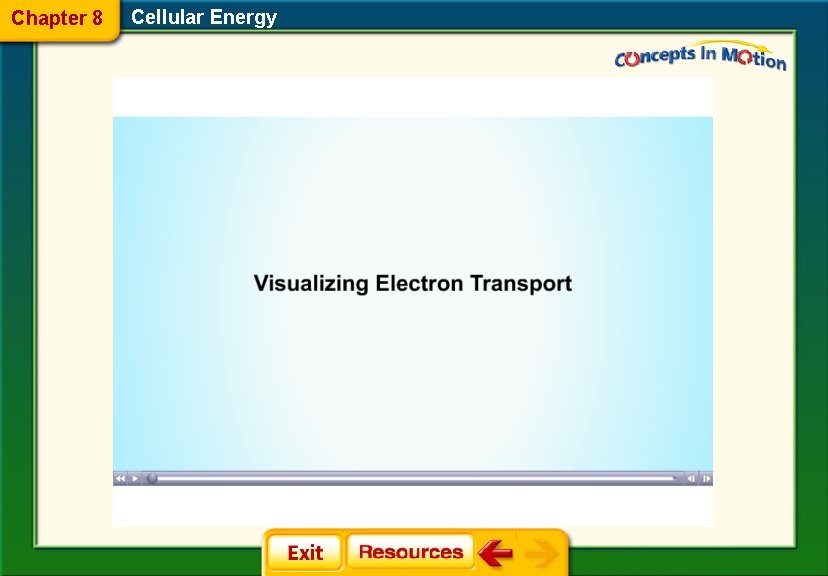 Chapter 8 Cellular Energy 