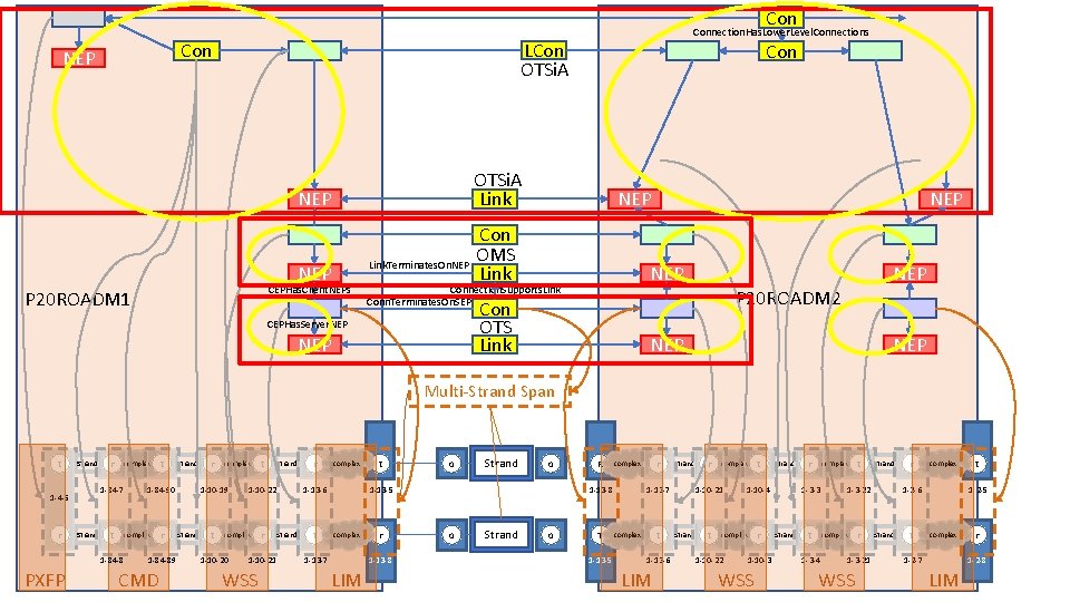 Con LCon OTSi. A Con NEP Connection. Has. Lower. Level. Connections OTSi. A Link