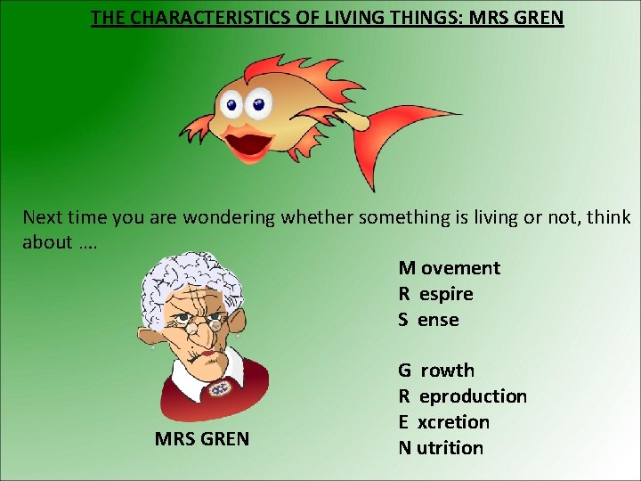 THE CHARACTERISTICS OF LIVING THINGS: MRS GREN Next time you are wondering whether something