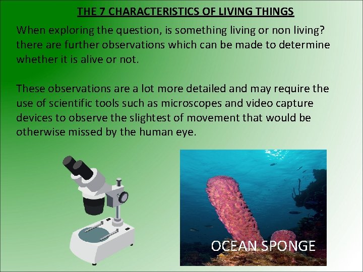 THE 7 CHARACTERISTICS OF LIVING THINGS When exploring the question, is something living or