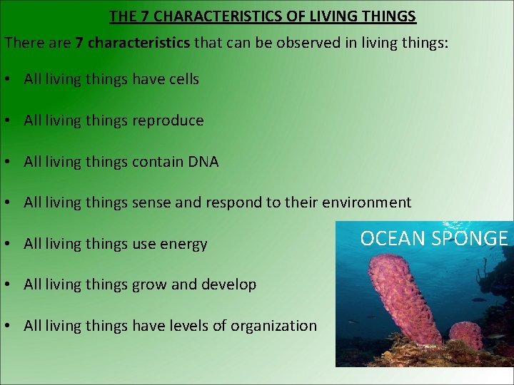 THE 7 CHARACTERISTICS OF LIVING THINGS There are 7 characteristics that can be observed