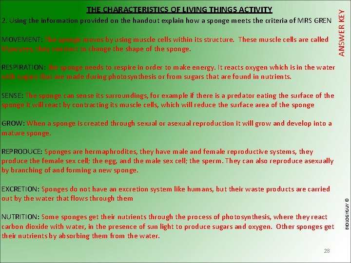 2. Using the information provided on the handout explain how a sponge meets the