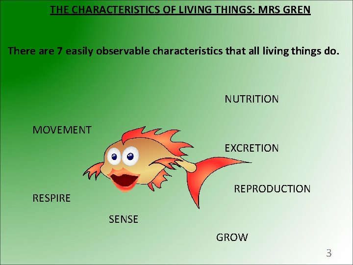 THE CHARACTERISTICS OF LIVING THINGS: MRS GREN There are 7 easily observable characteristics that