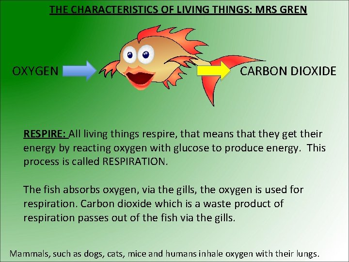 THE CHARACTERISTICS OF LIVING THINGS: MRS GREN OXYGEN CARBON DIOXIDE RESPIRE: All living things