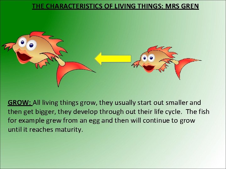 THE CHARACTERISTICS OF LIVING THINGS: MRS GREN GROW: All living things grow, they usually