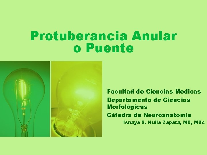 Protuberancia Anular o Puente Facultad de Ciencias Medicas Departamento de Ciencias Morfológicas Cátedra de