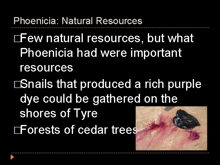 Phoenicia: Natural Resources �Few natural resources, but what Phoenicia had were important resources �Snails Phoenicia: Natural Resources �Few natural resources, but what Phoenicia had were important resources �Snails