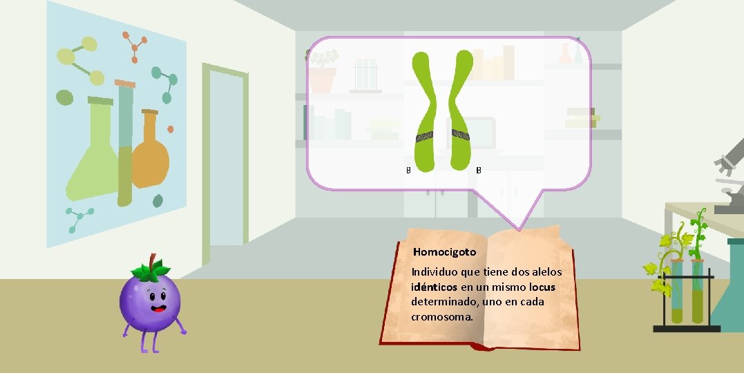 Homocigoto Individuo que tiene dos alelos idénticos en un mismo locus determinado, uno en