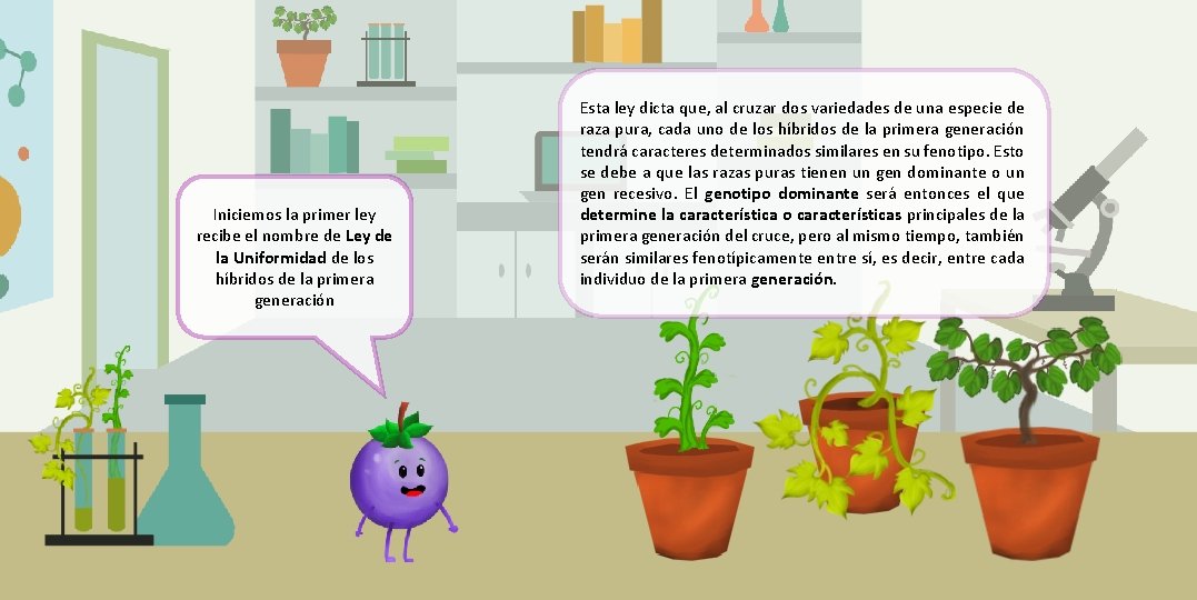 Iniciemos la primer ley recibe el nombre de Ley de la Uniformidad de los