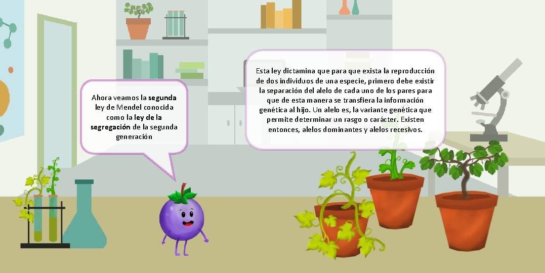 Ahora veamos la segunda ley de Mendel conocida como la ley de la segregación