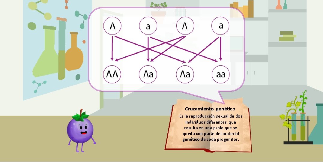 Cruzamiento genético Es la reproducción sexual de dos individuos diferentes, que resulta en una