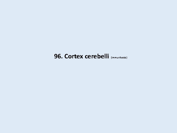 96. Cortex cerebelli (Immunfestés) 