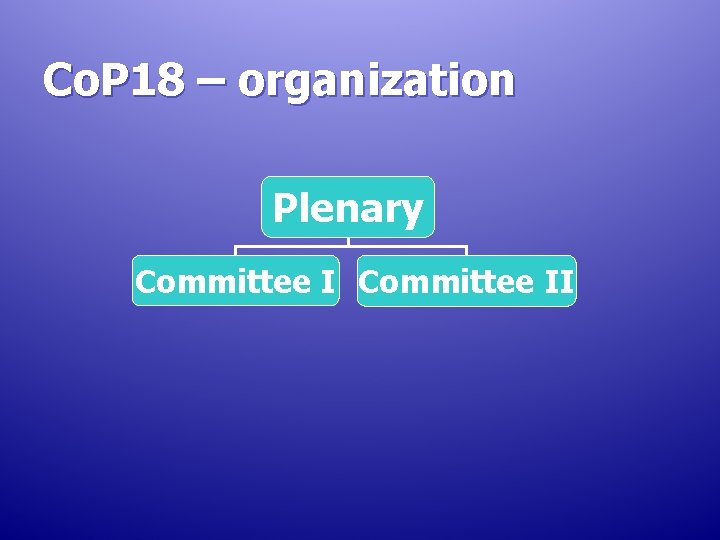 Co. P 18 – organization Plenary Committee II Co. P 18 – organization Plenary Committee II