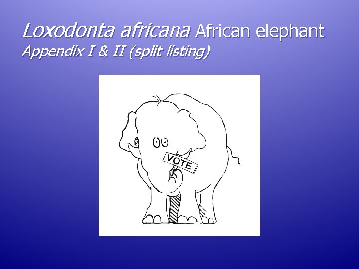 Loxodonta africana African elephant Appendix I & II (split listing) Loxodonta africana African elephant Appendix I & II (split listing)