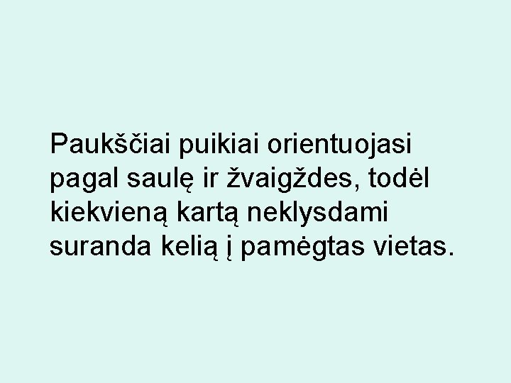 Paukščiai puikiai orientuojasi pagal saulę ir žvaigždes, todėl kiekvieną kartą neklysdami suranda kelią į