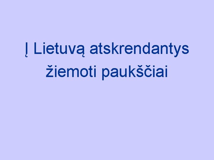 Į Lietuvą atskrendantys žiemoti paukščiai 