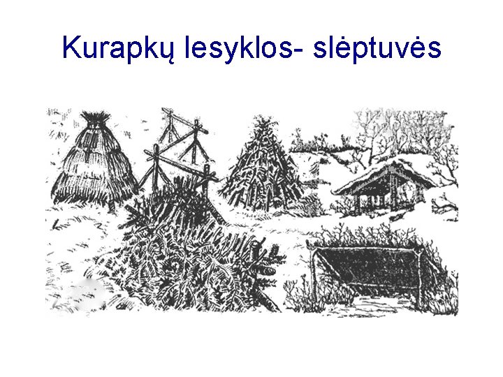 Kurapkų lesyklos- slėptuvės 