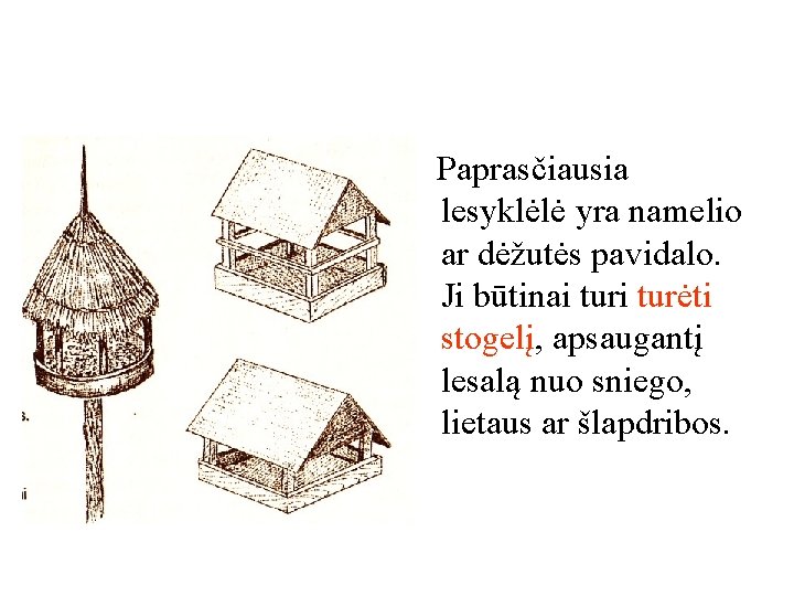 Paprasčiausia lesyklėlė yra namelio ar dėžutės pavidalo. Ji būtinai turėti stogelį, apsaugantį lesalą nuo