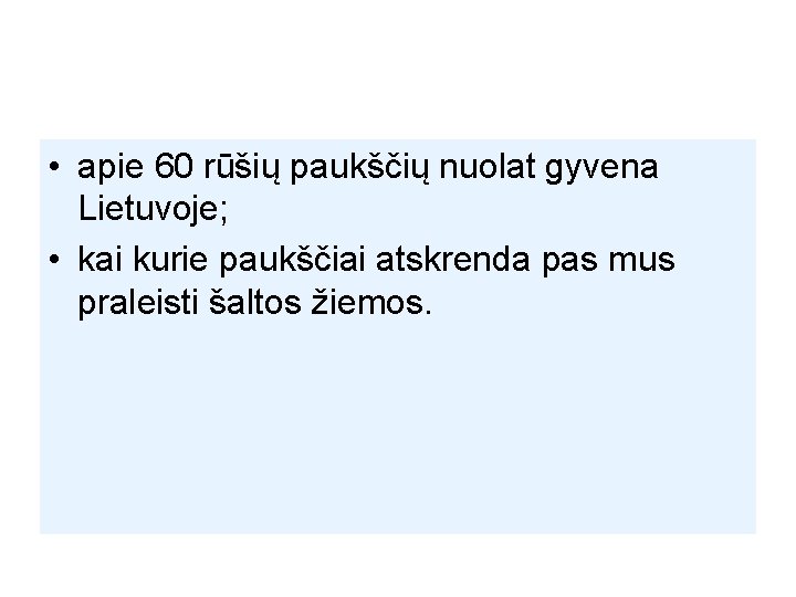  • apie 60 rūšių paukščių nuolat gyvena Lietuvoje; • kai kurie paukščiai atskrenda