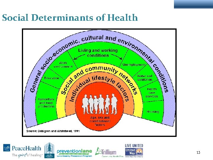 Social Determinants of Health 13 