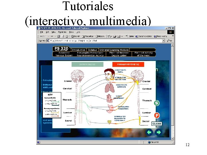 Tutoriales (interactivo, multimedia) 12 Tutoriales (interactivo, multimedia) 12