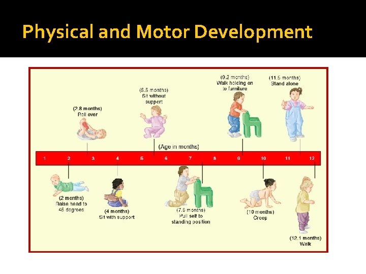 Physical and Motor Development 