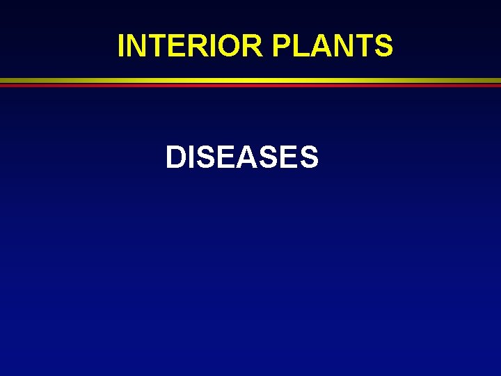 INTERIOR PLANTS DISEASES 